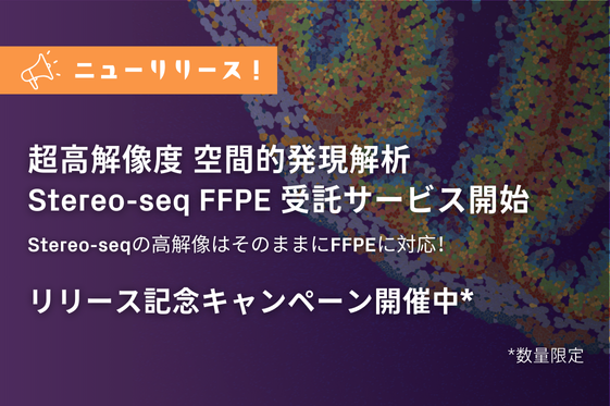 ようセット割！NEIGENE S-95＋K-42 2個セット 日産セレナ用バッテリーセット